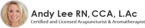 Andy Lee Logo